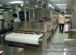 微波快餐加熱殺菌設備 高效滅菌的現代食品加工利器
